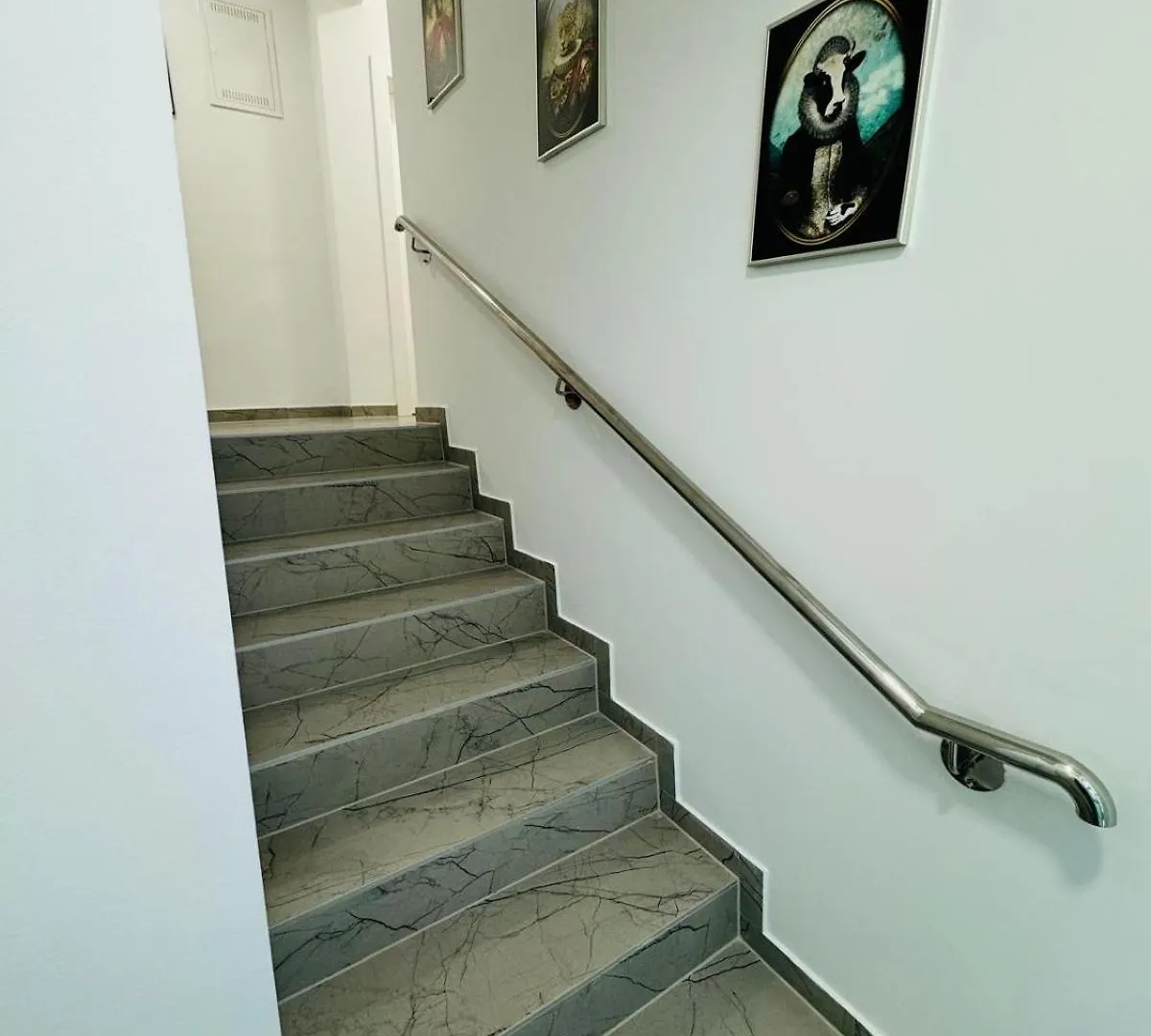 Apartmani Galeb Bibinje Apartment