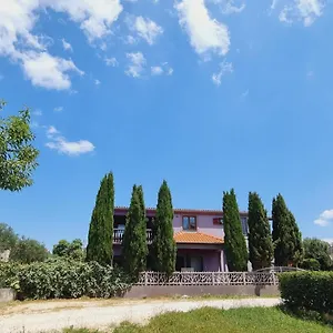 Nika Apartament